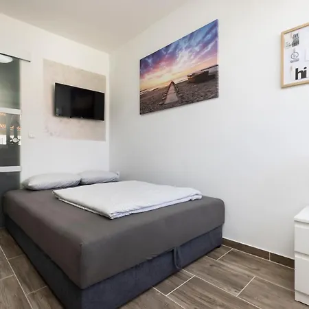 Apartment Pinetree -